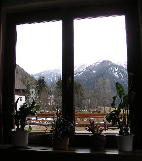 Blick aus dem Fenster zur Häussleralm