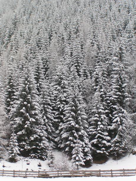 Schnee in den Bergen beim Haus