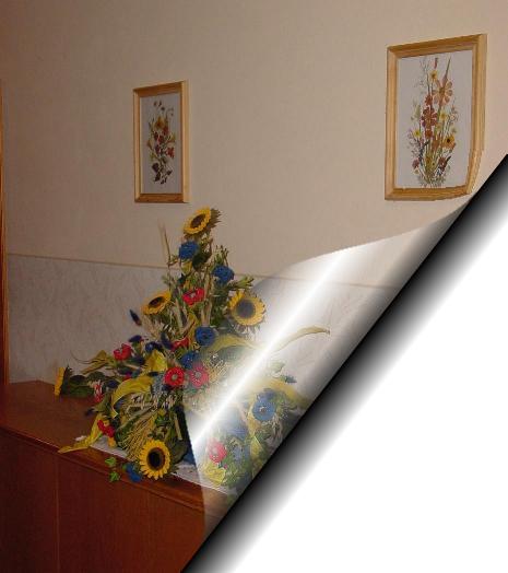 Bilder aus dem Haus